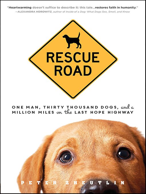 Title details for Rescue Road by Peter Zheutlin - Available